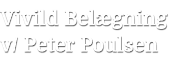 Vivild Belægning logo